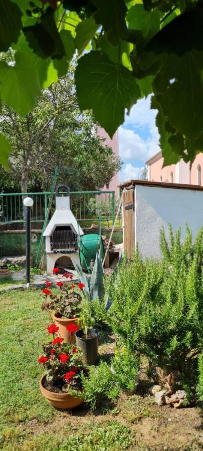 Apartmani Centar Seline Paklenica Eksteriør billede